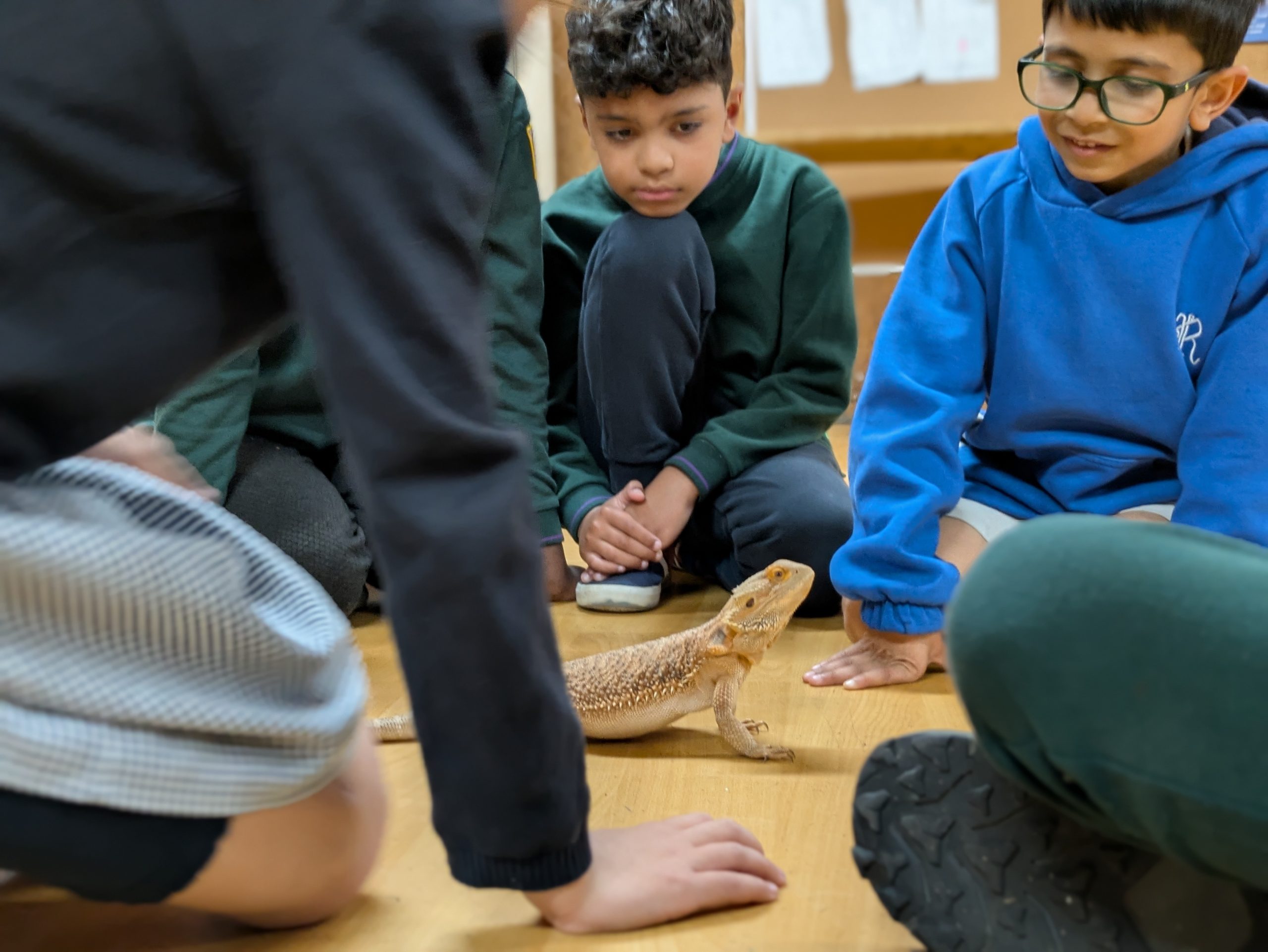2nd Edgware Scouts gallery