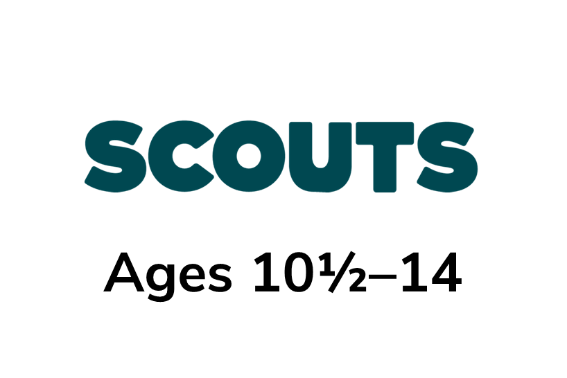 Scouts logo